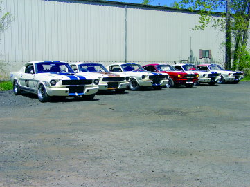 GT350 group